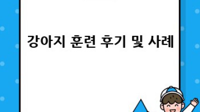 강아지 훈련: 간식으로 행복한 동행 만들기