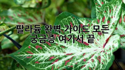 팔라듐💎 완벽 가이드: 모든 궁금증, 여기서 끝! 🚀